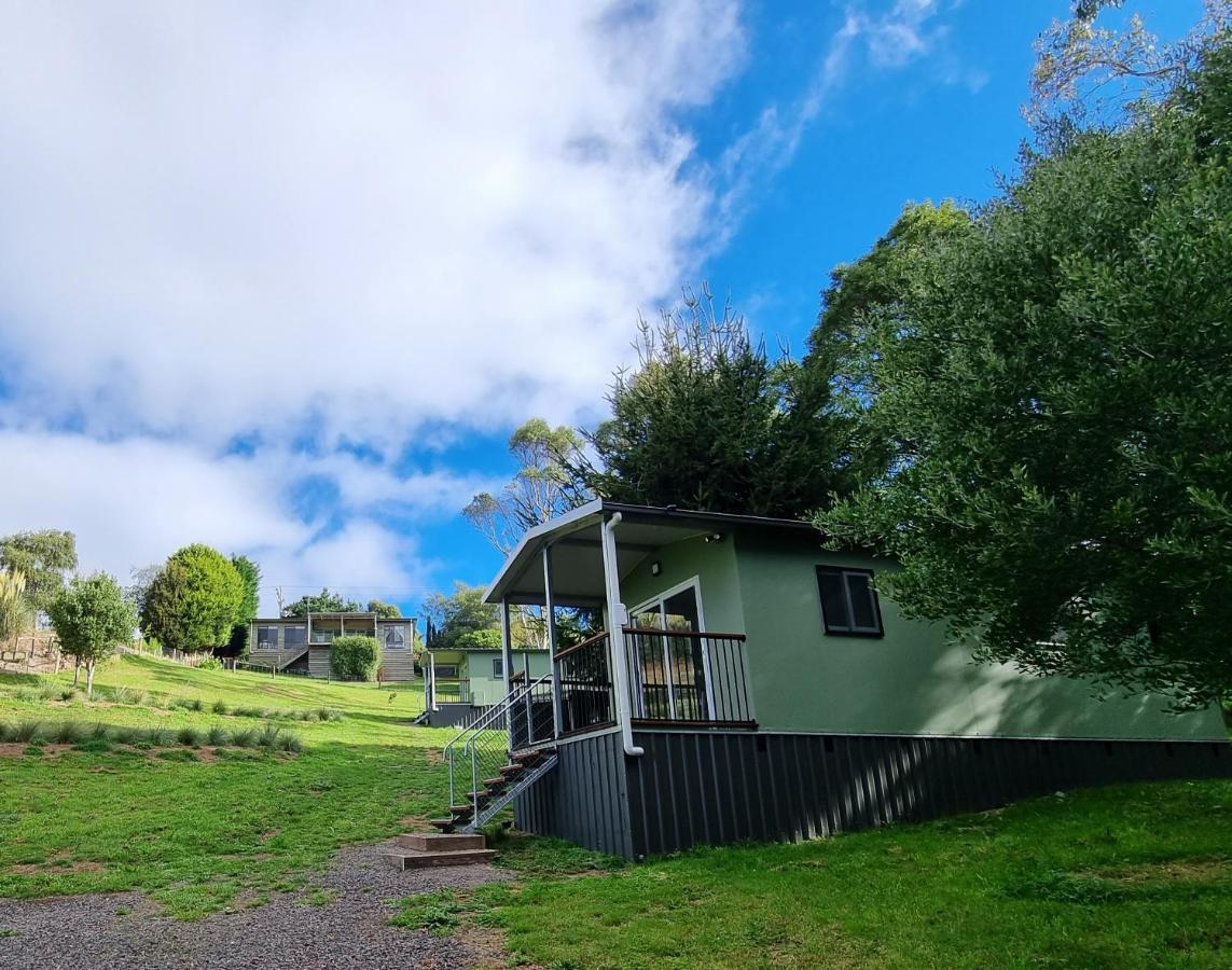 Cozy Otways Accommodation Beech Forest Eksteriør bilde